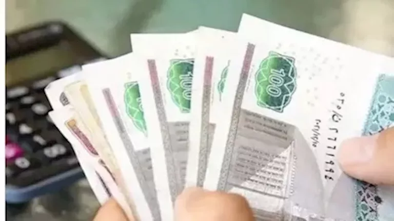 "مصر الرقمية" تتيح سداد المصروفات الدراسية أونلاين.. الرابط والخطوات